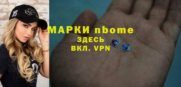 прущие грибы Медвежьегорск