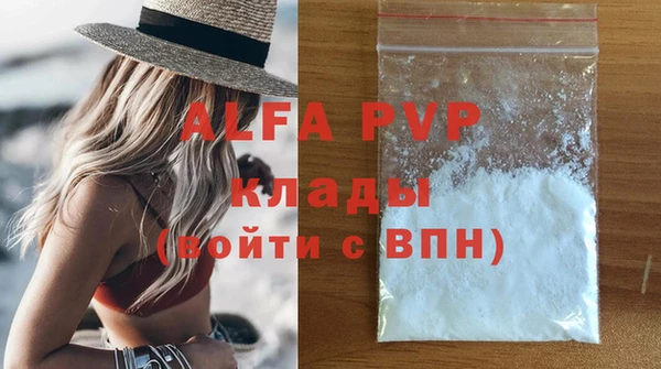 прущие грибы Медвежьегорск
