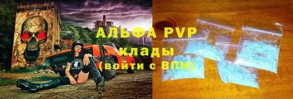 прущие грибы Медвежьегорск