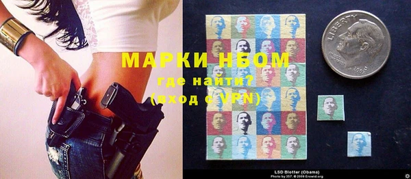 прущие грибы Медвежьегорск