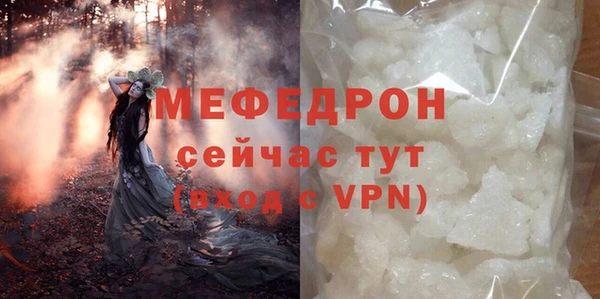прущие грибы Медвежьегорск