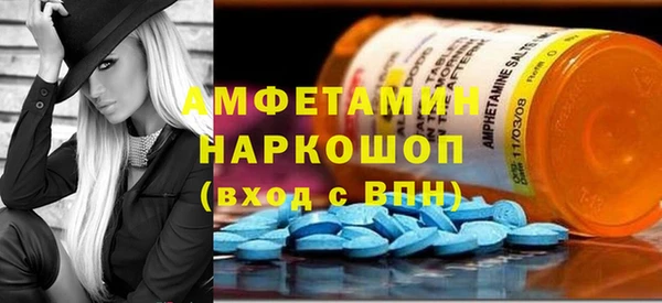 прущие грибы Медвежьегорск